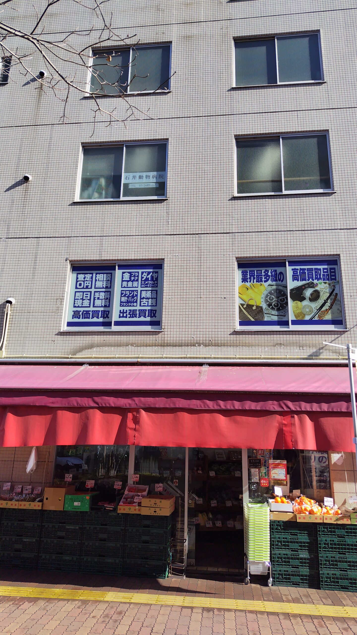 石井動物病院